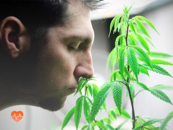 Детоксикация от марихуаны в Енисейске